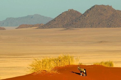 NamibRand Nature Reserve 